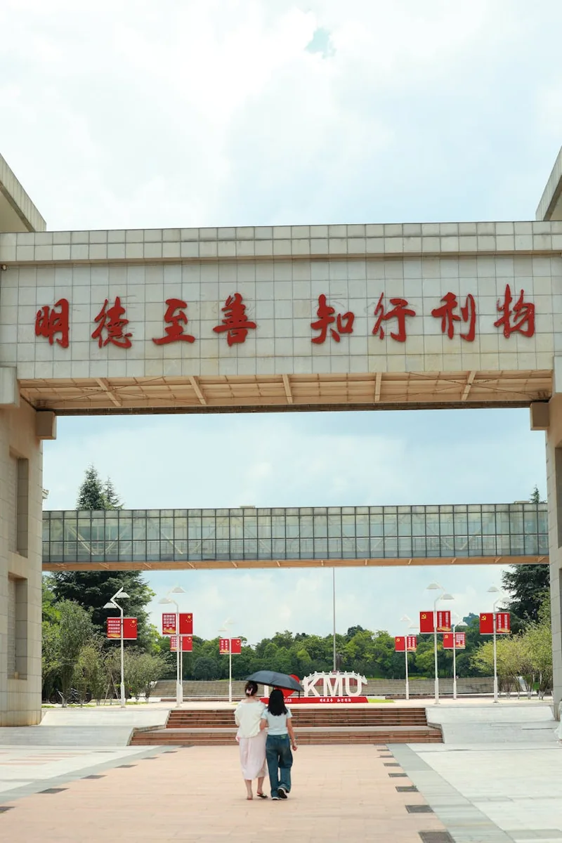 校园题材作品封面，用于首屏对比看板辨识